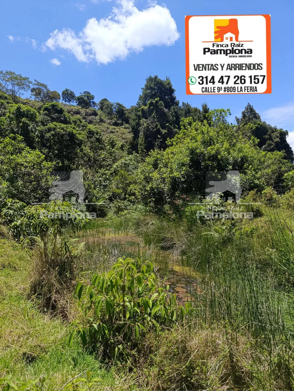Hermosa finca en venta