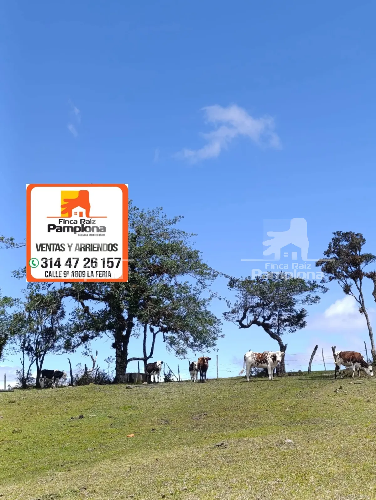 En venta Finca