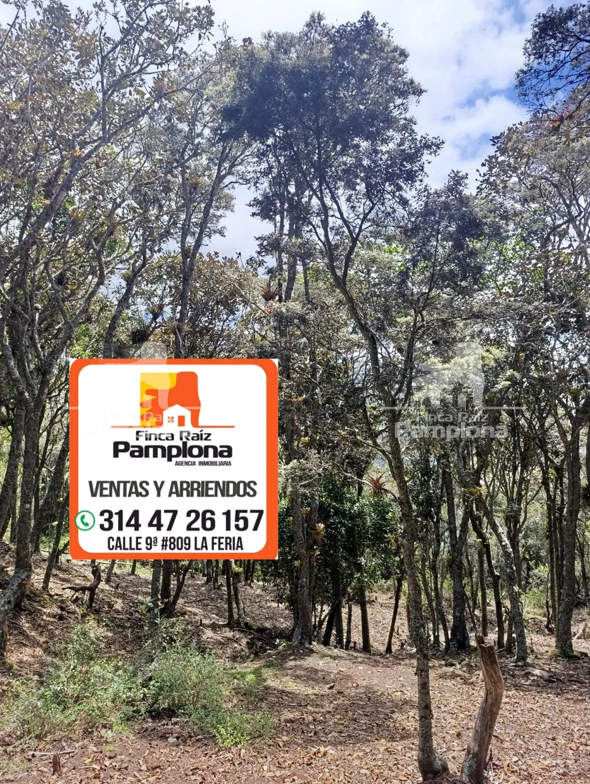 En venta Finca