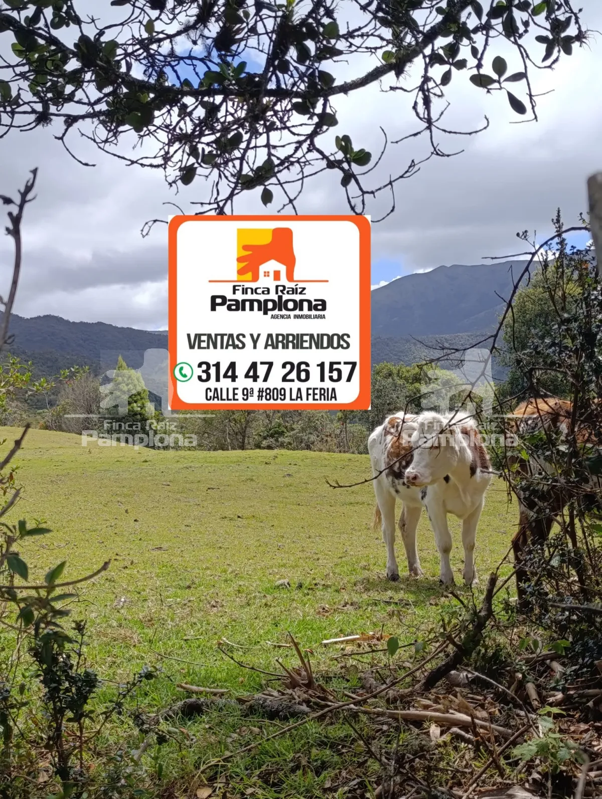 En venta Finca