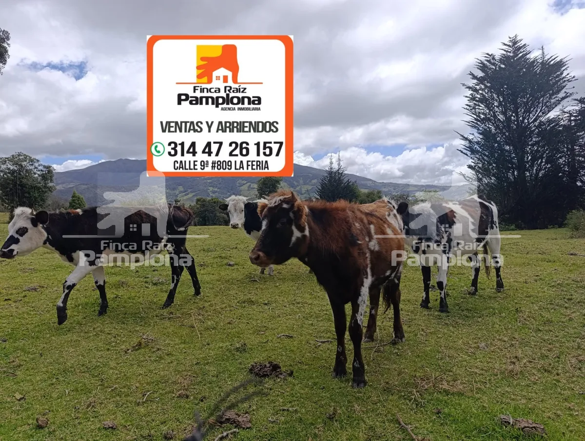 En venta Finca