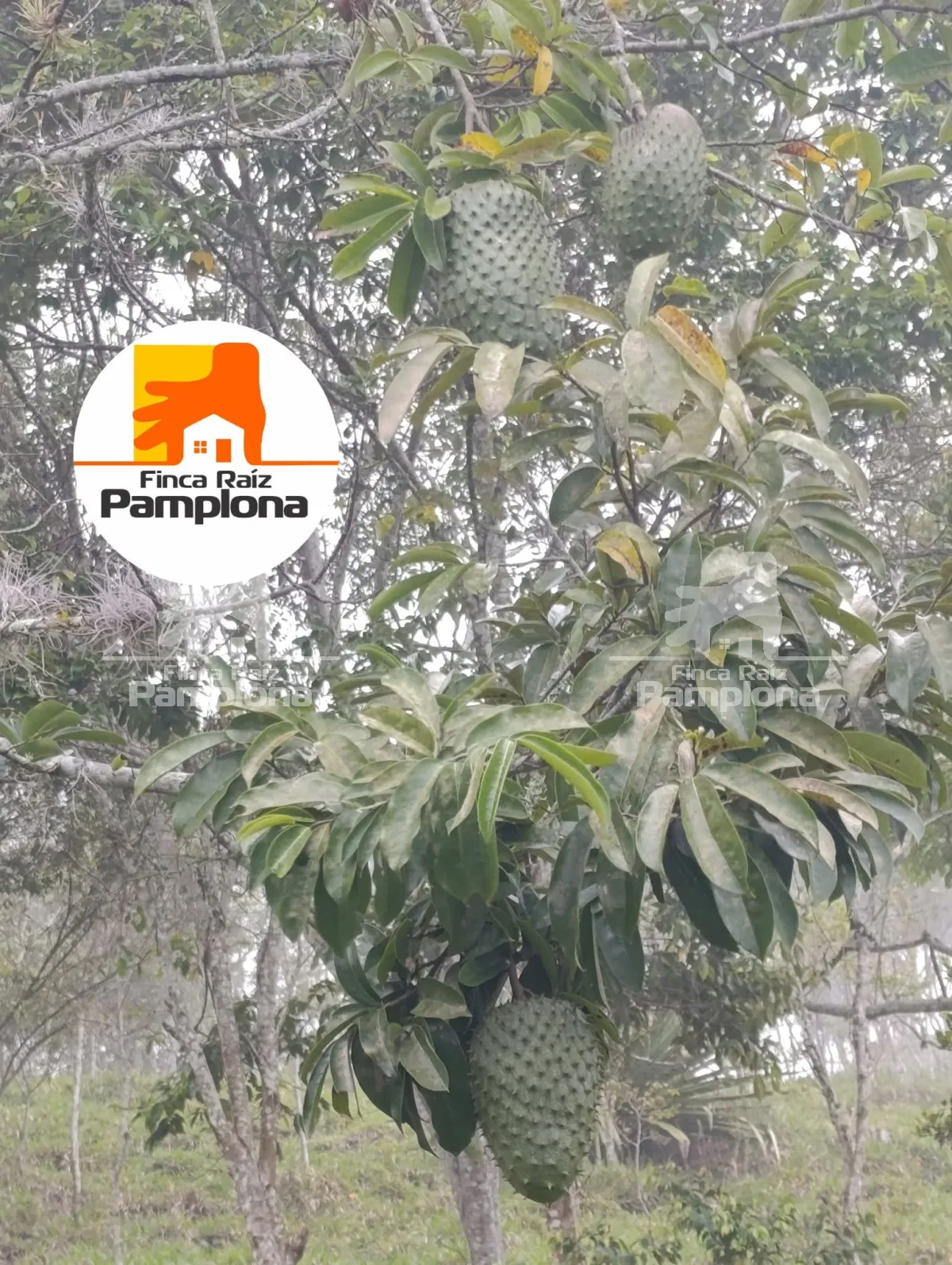Hermosa finca en venta