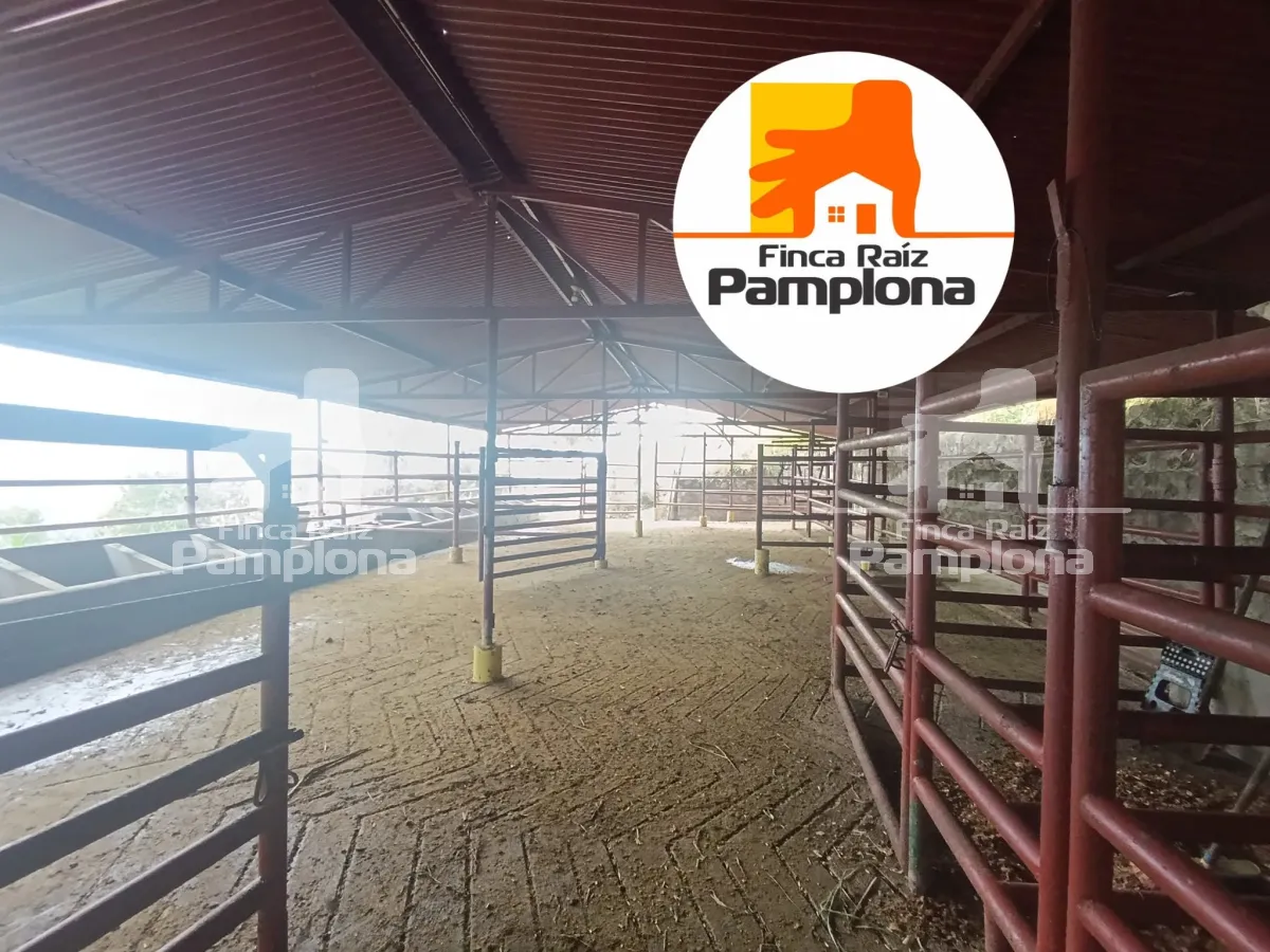 Estupenda finca ganadera en venta